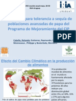 Evaluación para Tolerancia A Sequía de Poblaciones Avanzadas de Papa Del Programa de Mejoramiento Del CIP