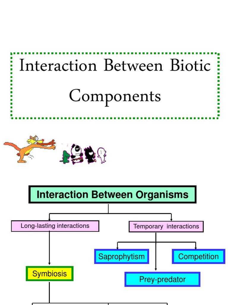 Types of Biotic Interactions Explained | PDF | Predation | Parasitism