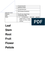 Leaf Stem Root Fruit Flower Petiole