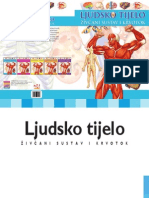 Ljudsko Tijelo - Zivcani Sustav i Krvotok