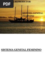 Sistema Genital Feminino