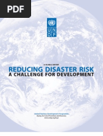 Undp-global Report-reducing Disaster Risk-A Challenge for Developmentrdr_english