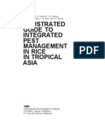 Illustrated Guide to Integrated Pest Management in Rice in Tropical Asia
