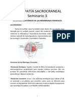OSTEOPATÍA SACROCRANEAL -SEMINARIO-3