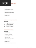CALDEIRAS DE FLUIDO TERMICO.pdf