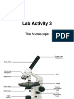 Aktiviti 3 - Mikroskop