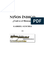NIÑOS INDIGO - Gabriel Sánchez