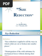 Lecture 3 - Size Reduction