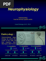 Neurophysiology