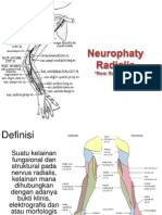 NO Radialis