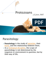 Protozoans