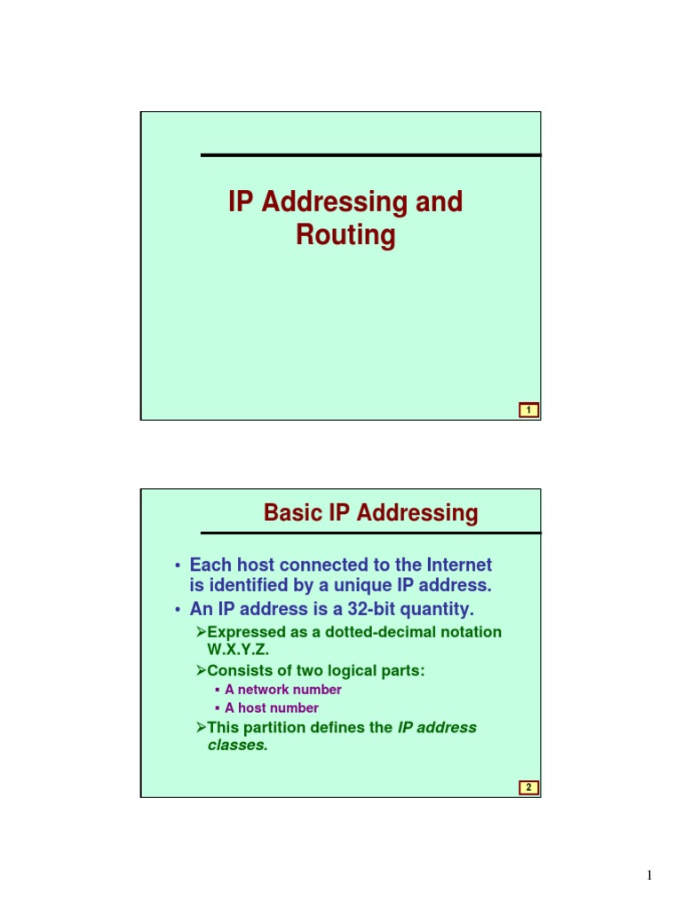 IP Addressing and Routing Guide | PDF