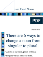 Singular Plural Nouns PKG BANTING
