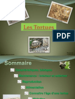 Les Tortues PDF