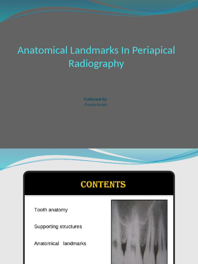 Anatomical Landmarks in Periapical Radiography