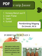 Download Ppt Jamur Tiram Komang by Abd Muis SN207370765 doc pdf