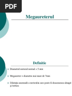 Mega Ureter Ul