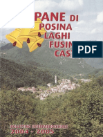 Campane di Posina - Anno 2004-2005