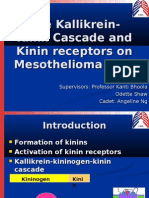 The Kallikrein-Kinin Cascade and Kinin Receptors On Mesothelioma Cells