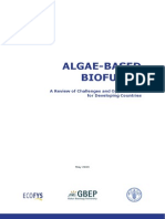 0905 FAO Review Paper on Algae-Based Biofuels