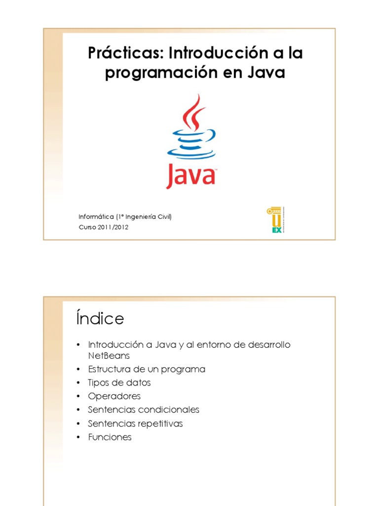 Practicas JAVA PDF | PDF