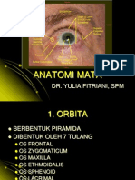 Anatomi Mata