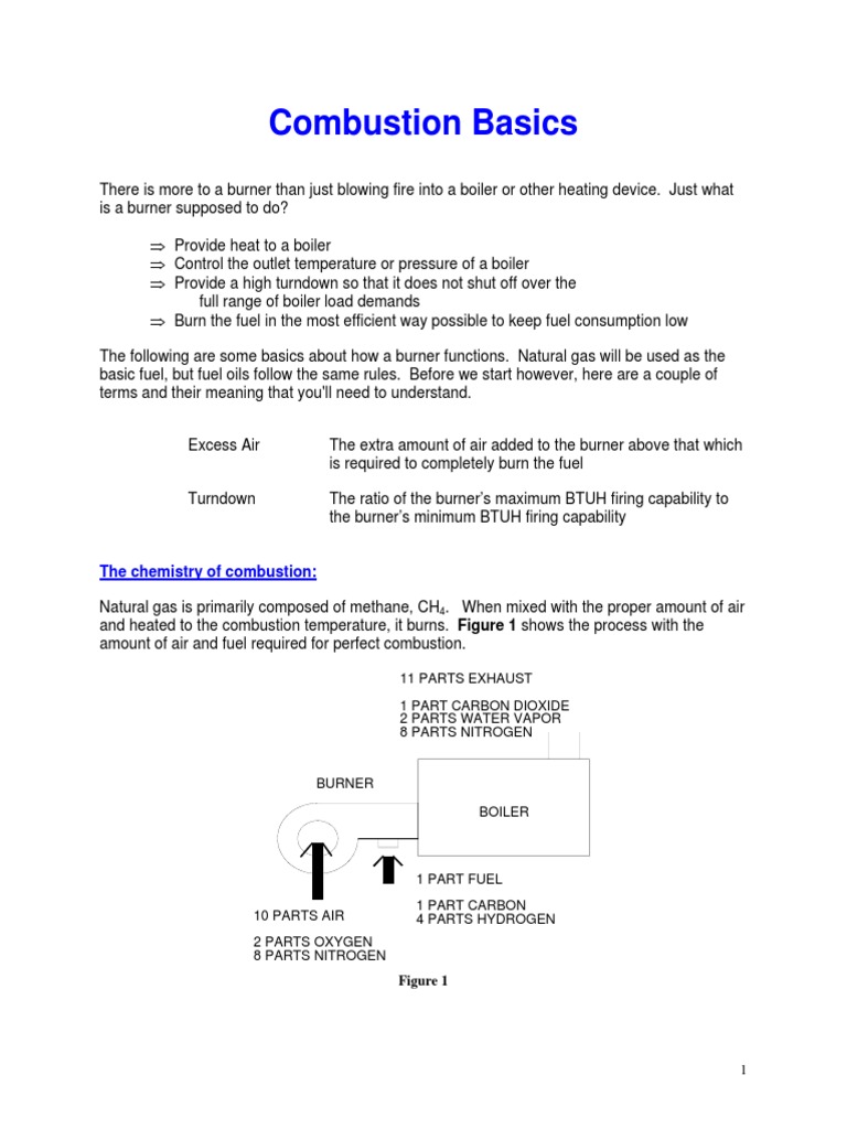 Combustion Basics PDF Combustion Boiler