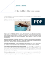 cães e piscinas