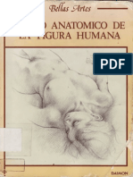 Dibujo anatómico de la figura humana - JPR504