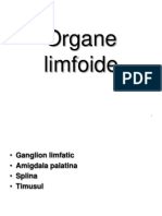 Organe Limfoide - Revizuit