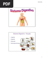 Sistema Digestivo