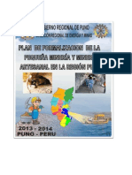 Plan de Formalizacion - Puno