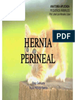 Hernia Perine All