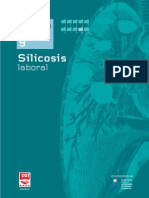 9. Silicosis