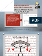 Analisis Plastico