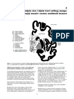 Temelji Neuroznanosti - 05 Poglavlje