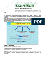 Histologia Vegetal 2010