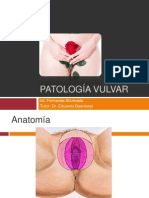 Patología Vulvar  2014