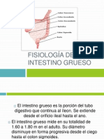 Anatomia y Fisiologia Del Intestino Grueso