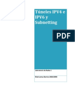 Tuneles IPV4 IPV6 y Subnetting