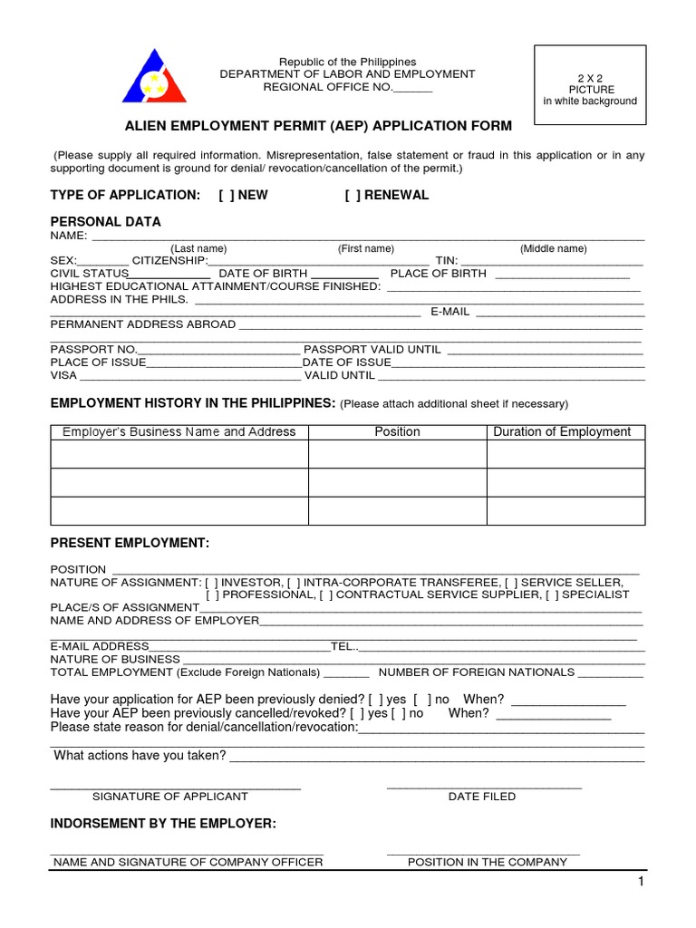 AEP Application Form | PDF
