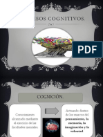 Procesos Cognitivos