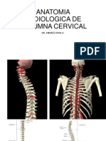 Anatomia Radiologica de Columna Cervical