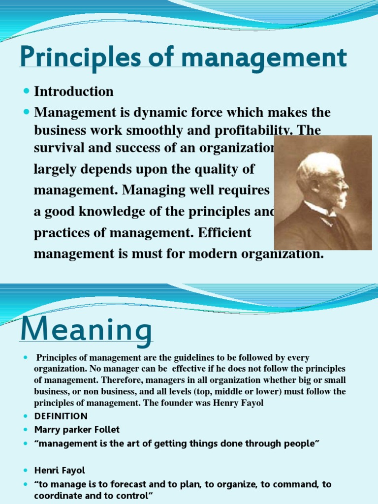 Henri Fayol's 14 Principles of Management | PDF | Employment | Economies