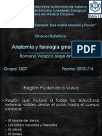 Anatomia y Fisiologia Ginecologica