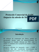 Protocolo Comercial SADC Impacto Adesão Moçambique