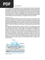 Download Obat Muscle Relaxan by Cumi Cumi Cinta SN207524254 doc pdf