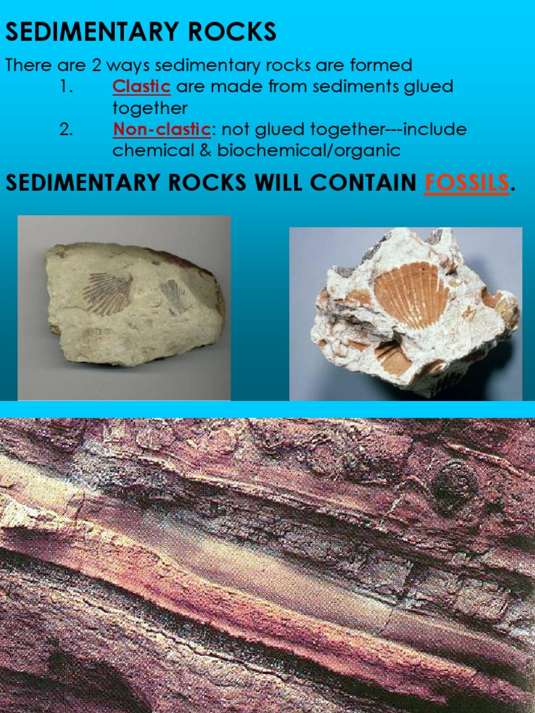 Understanding Sedimentary Rocks | PDF | Sedimentary Rock | Clastic Rock, image size:768x1024