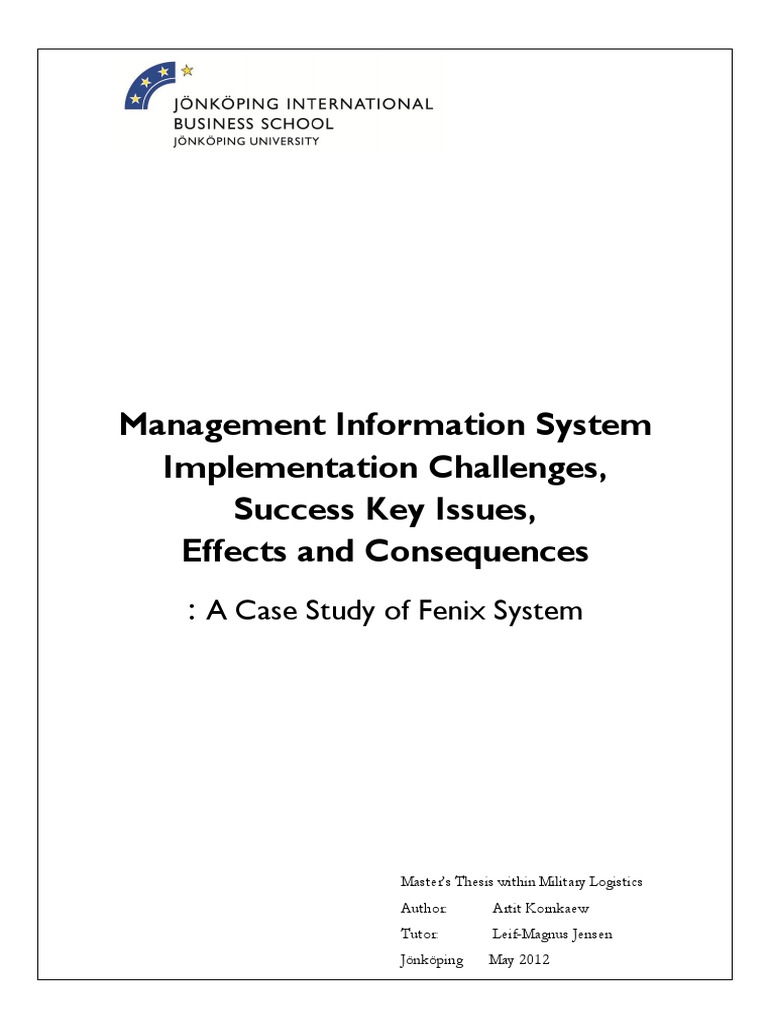 Business information systems dissertation examples picture