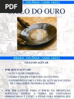 2. CICLO DO AÇÚCAR